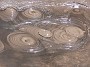 5.43- Bulles de boue